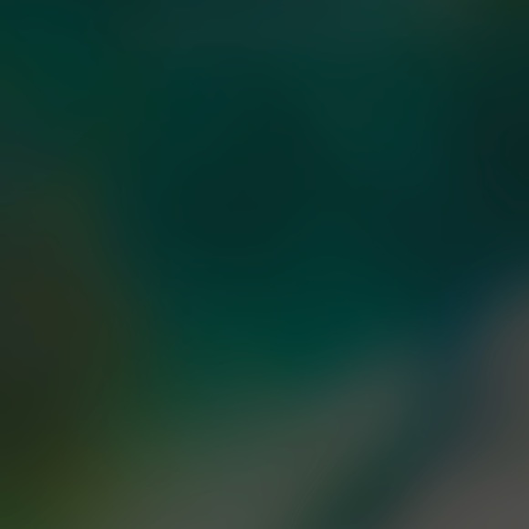 Meet your Posher, Francisco - Picture 1 of 1